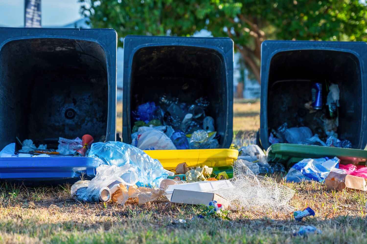 Best Trash Removal Near Me  in Rockwall, TX